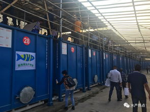 集裝箱養(yǎng)殖要火了嗎 各地的水產(chǎn)站都來觀摩,還成立了聯(lián)盟,或?qū)⒂质且粋€(gè)新風(fēng)口